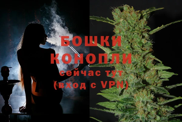 ешки Заводоуковск